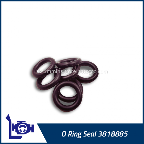 3818885 Cummins O Ring Seal